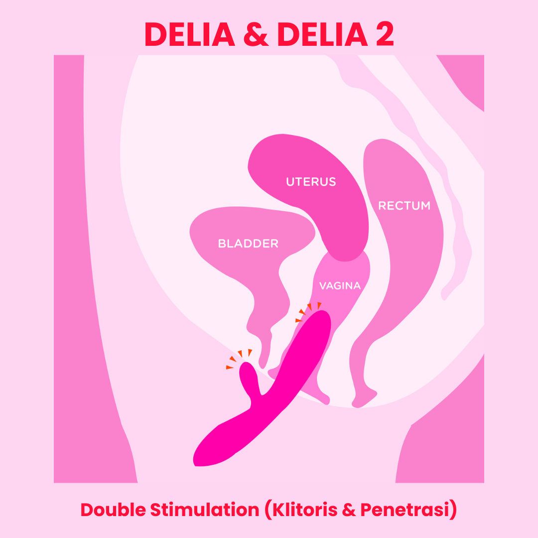 DiDO - Delia