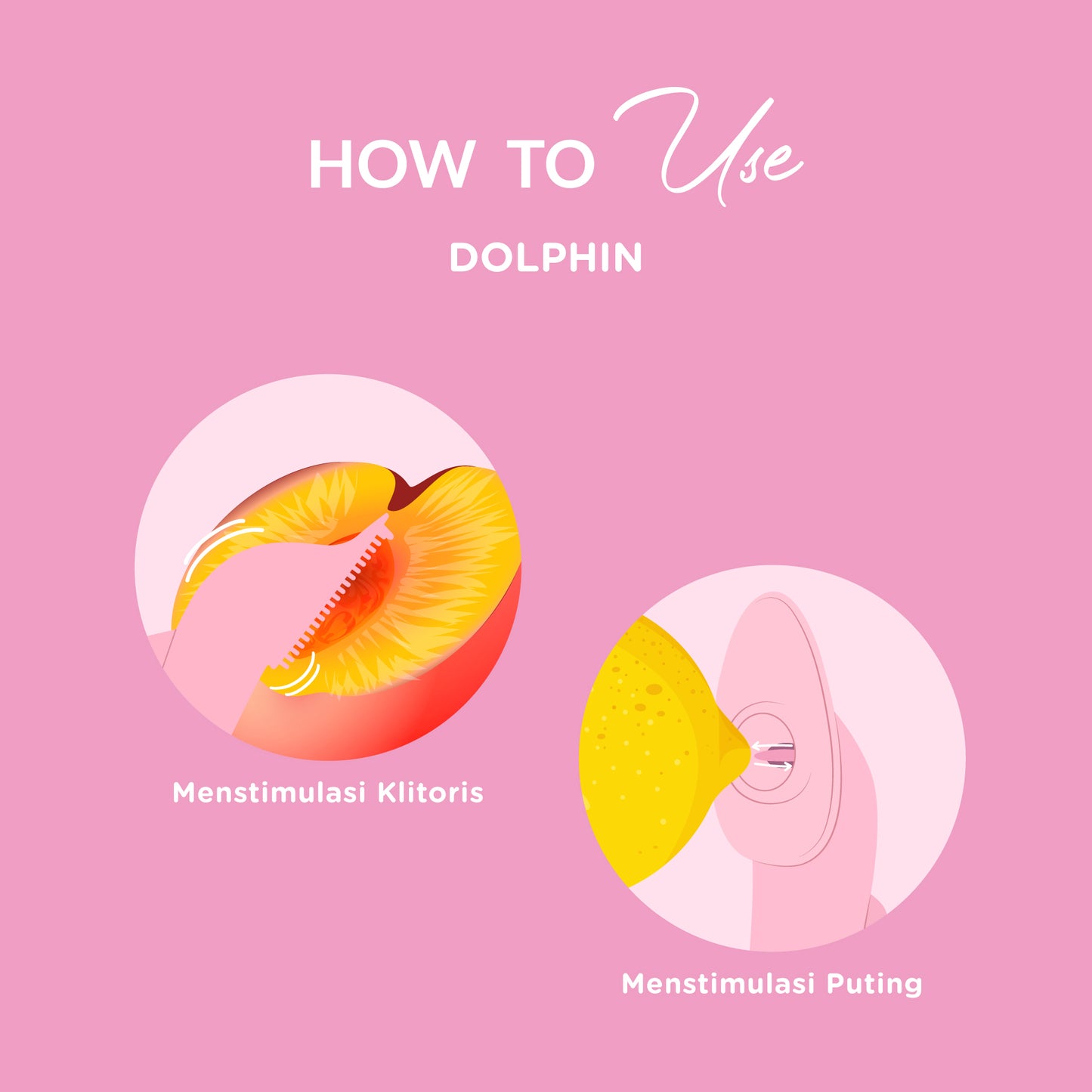 DiDO Nature Dolphin