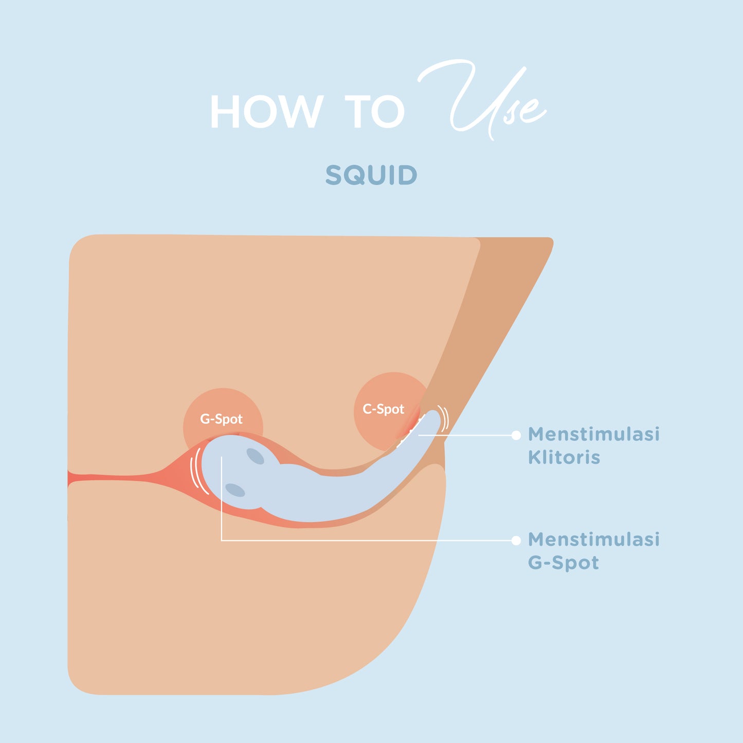 DiDO Nature Squid