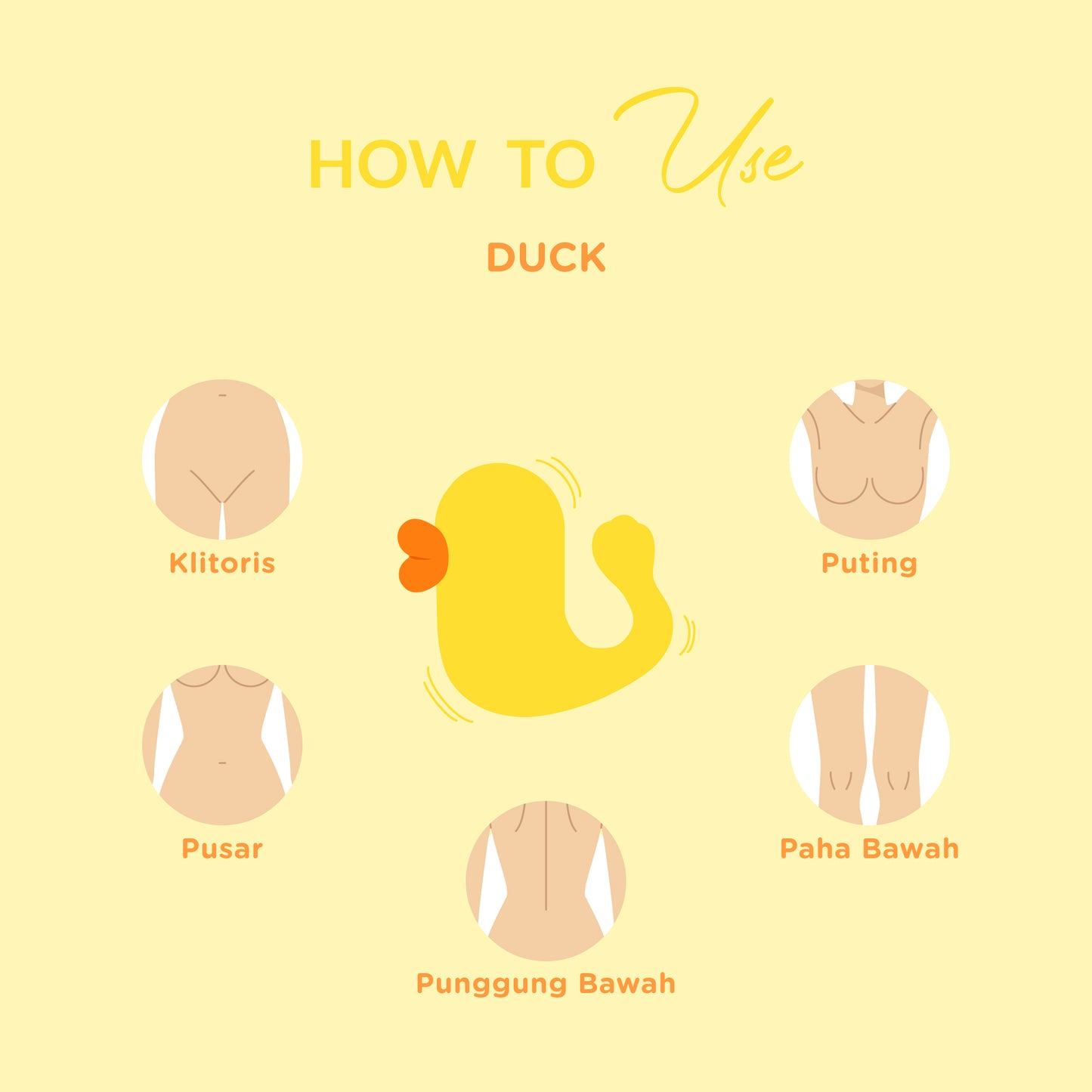 DiDO Nature Duck