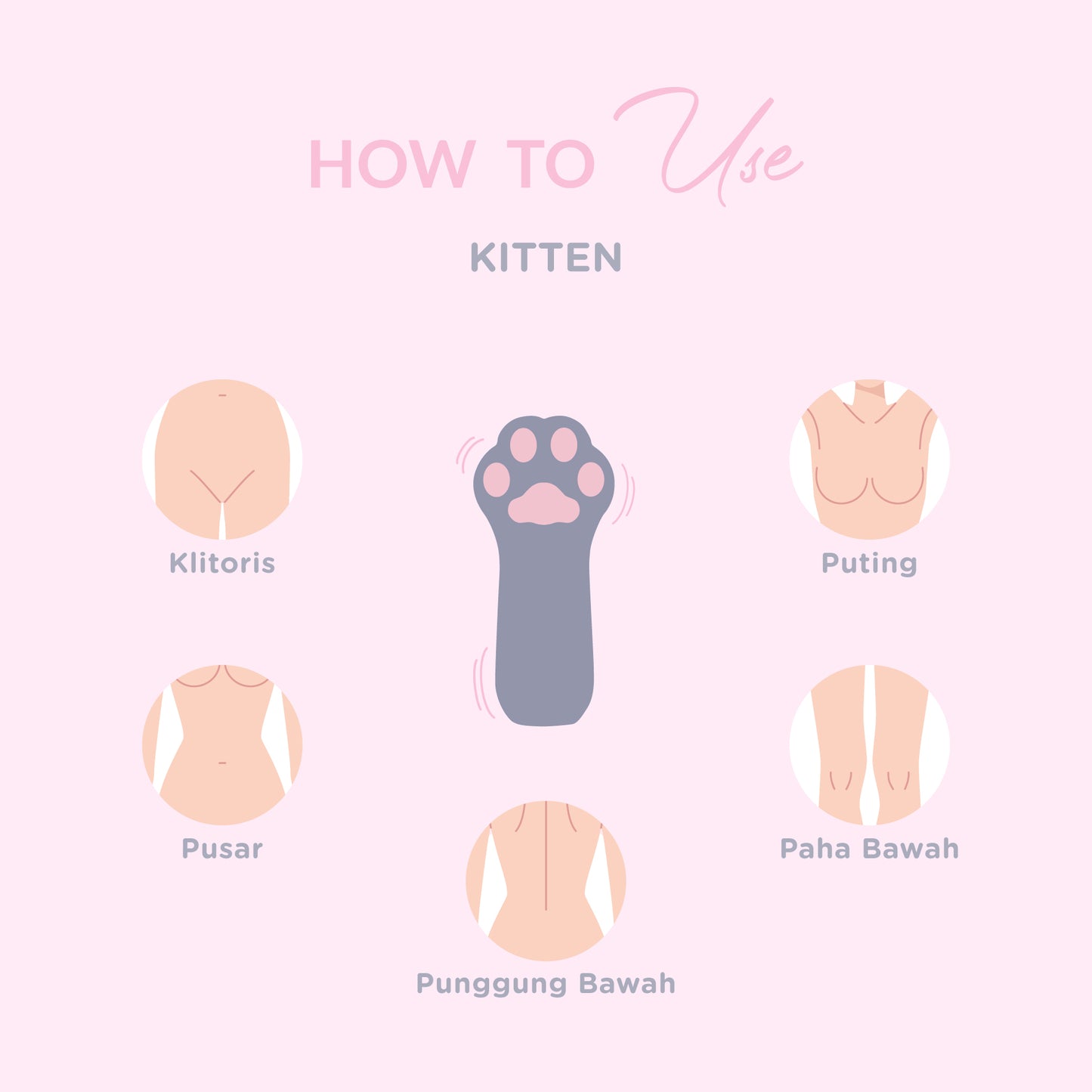 DiDO Nature Kitten