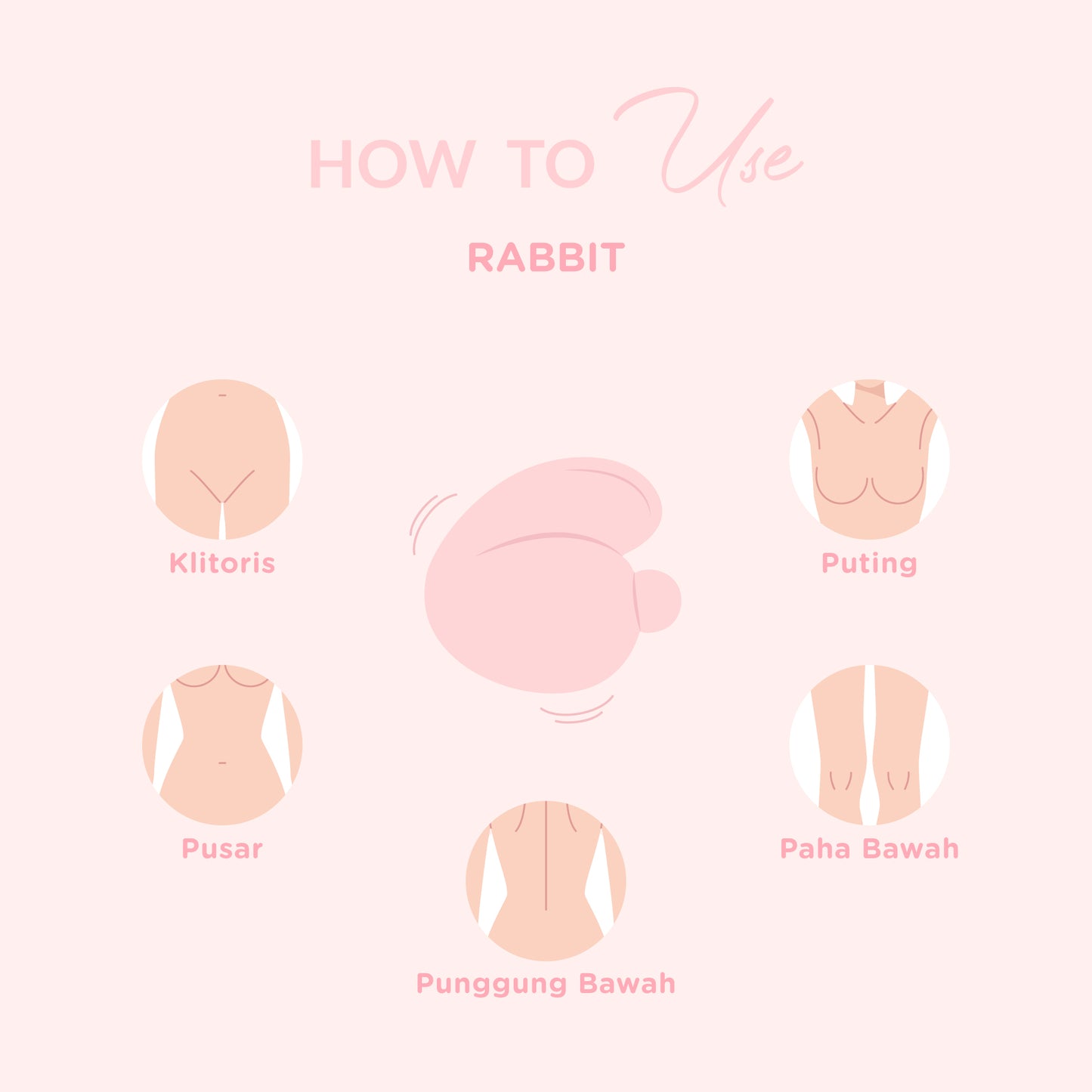 DiDO Nature Rabbit