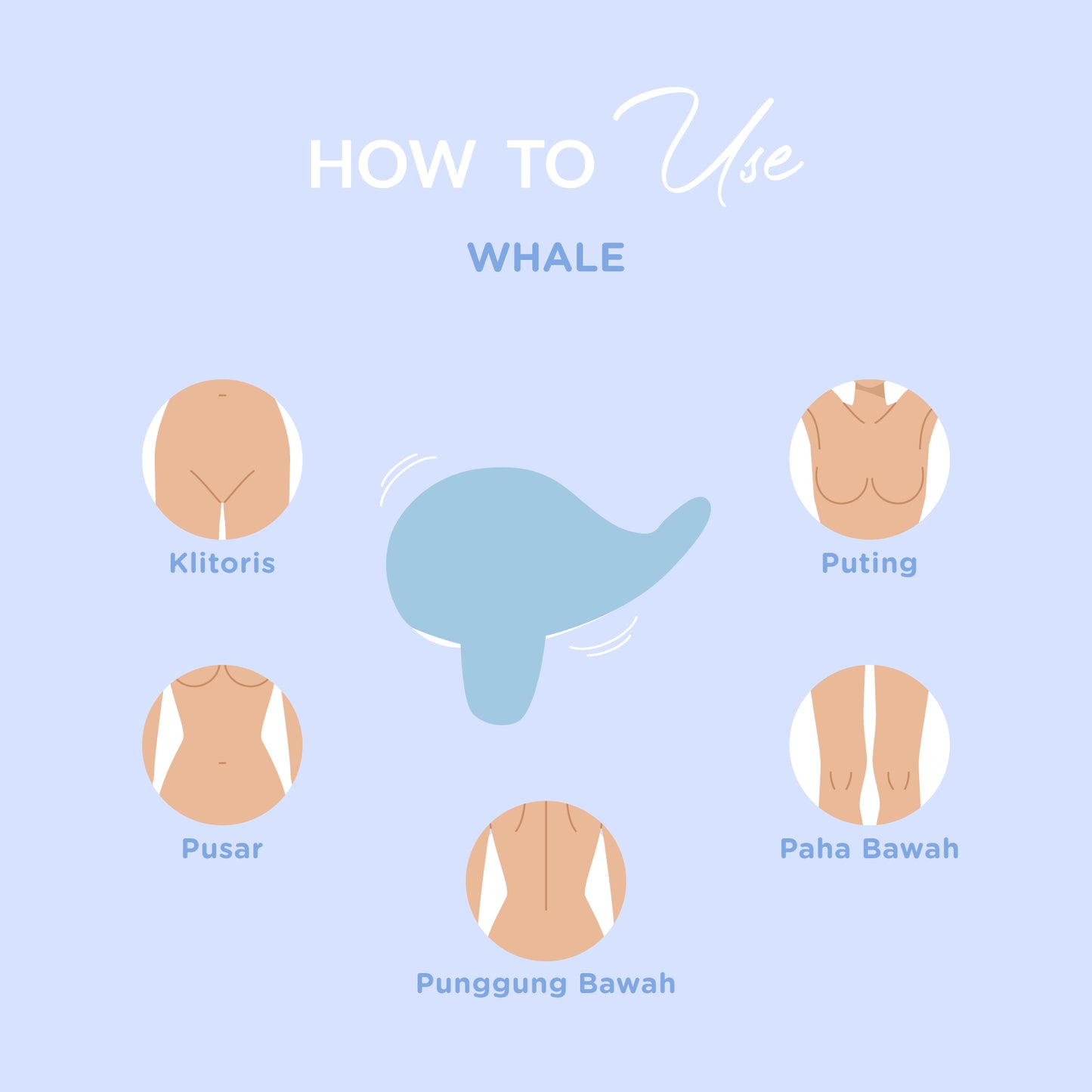 DiDO Nature Whale